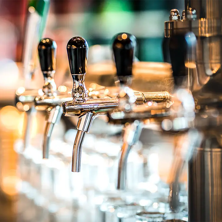 Freddy*s microbrouwerij Leiden